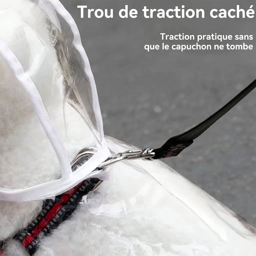 Guide des tailles de l'imperméable transparent