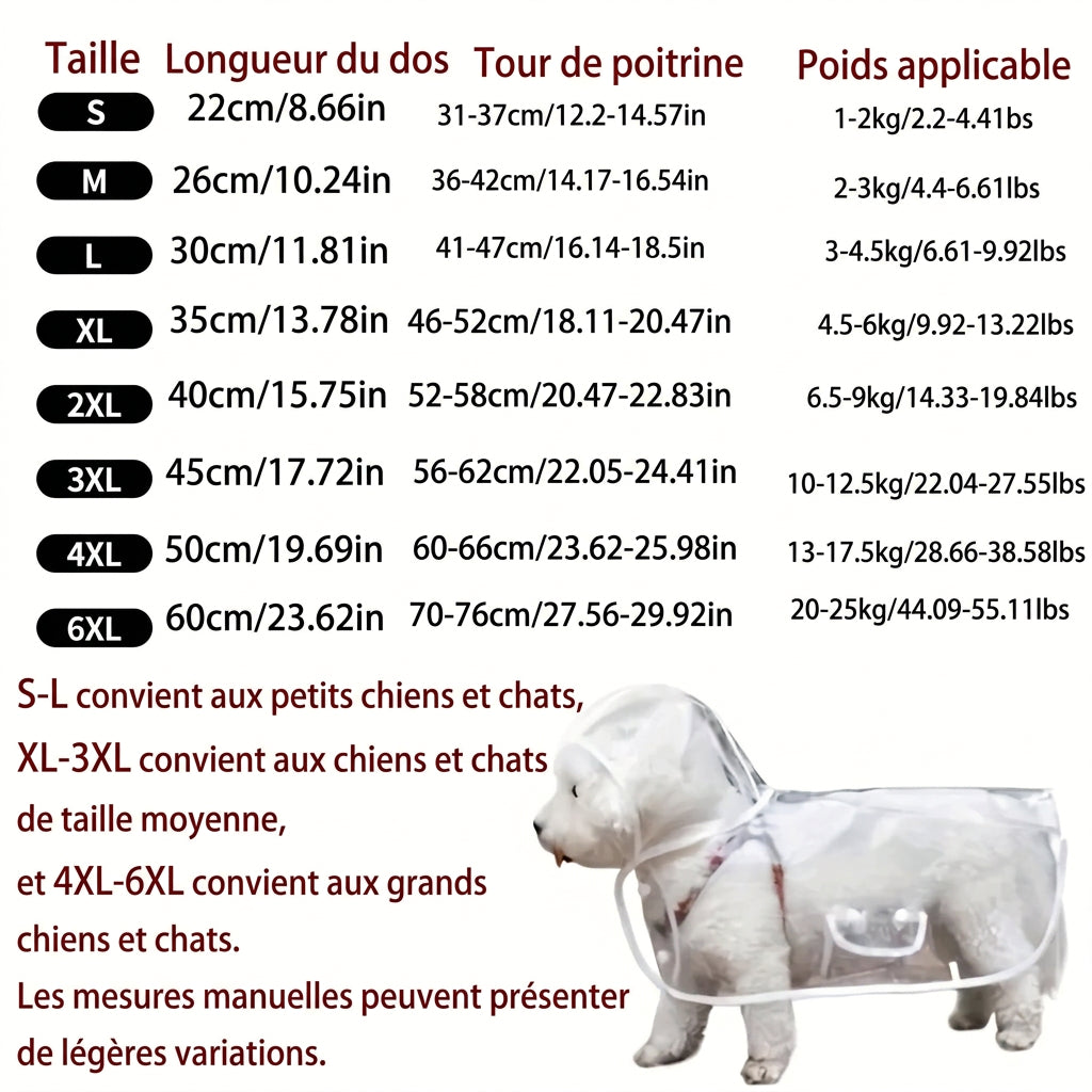 Petit chien avec son imperméable transparent