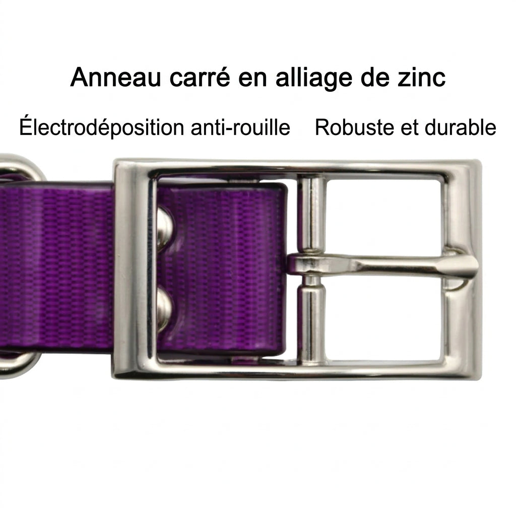 Collier Imperméable Éclat – caractéristiques