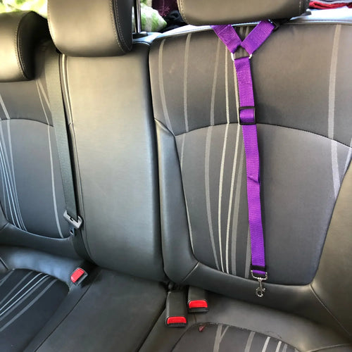 Attache fixée à l'appuie-tête