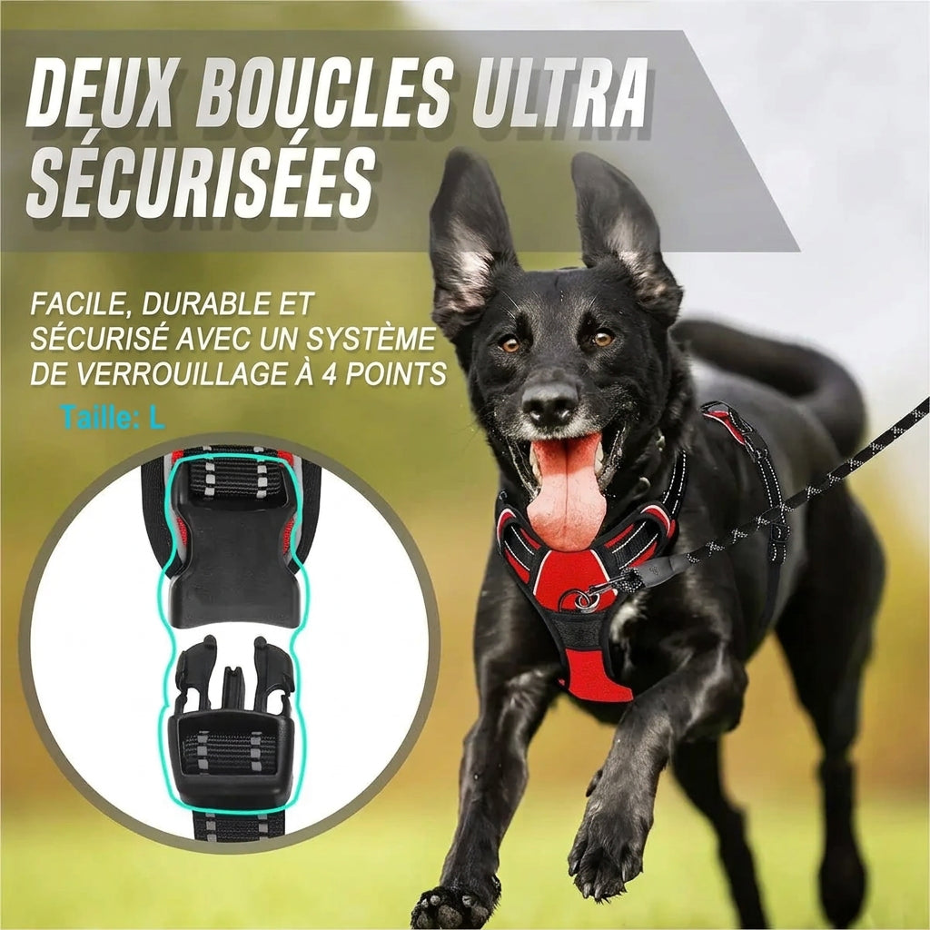Harnais anti-traction Balade – deux boucles sécurisées