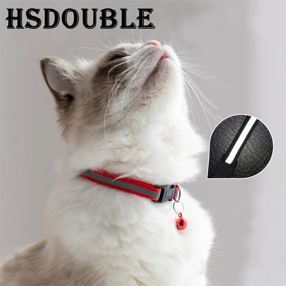 Collier réfléchissant porté par un chat