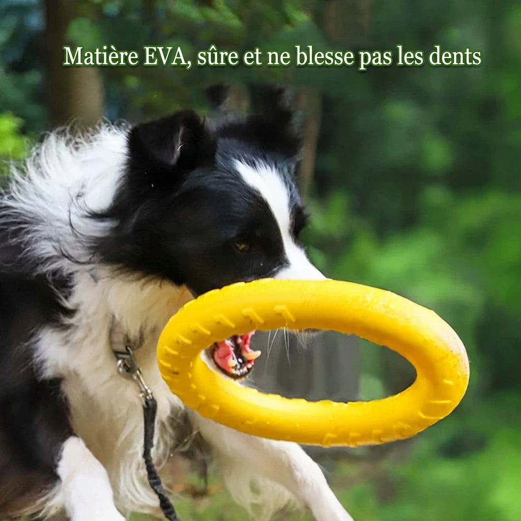 Chien courant avec l'anneau EVA, texte « Matière EVA, sûre et ne blesse pas les dents »