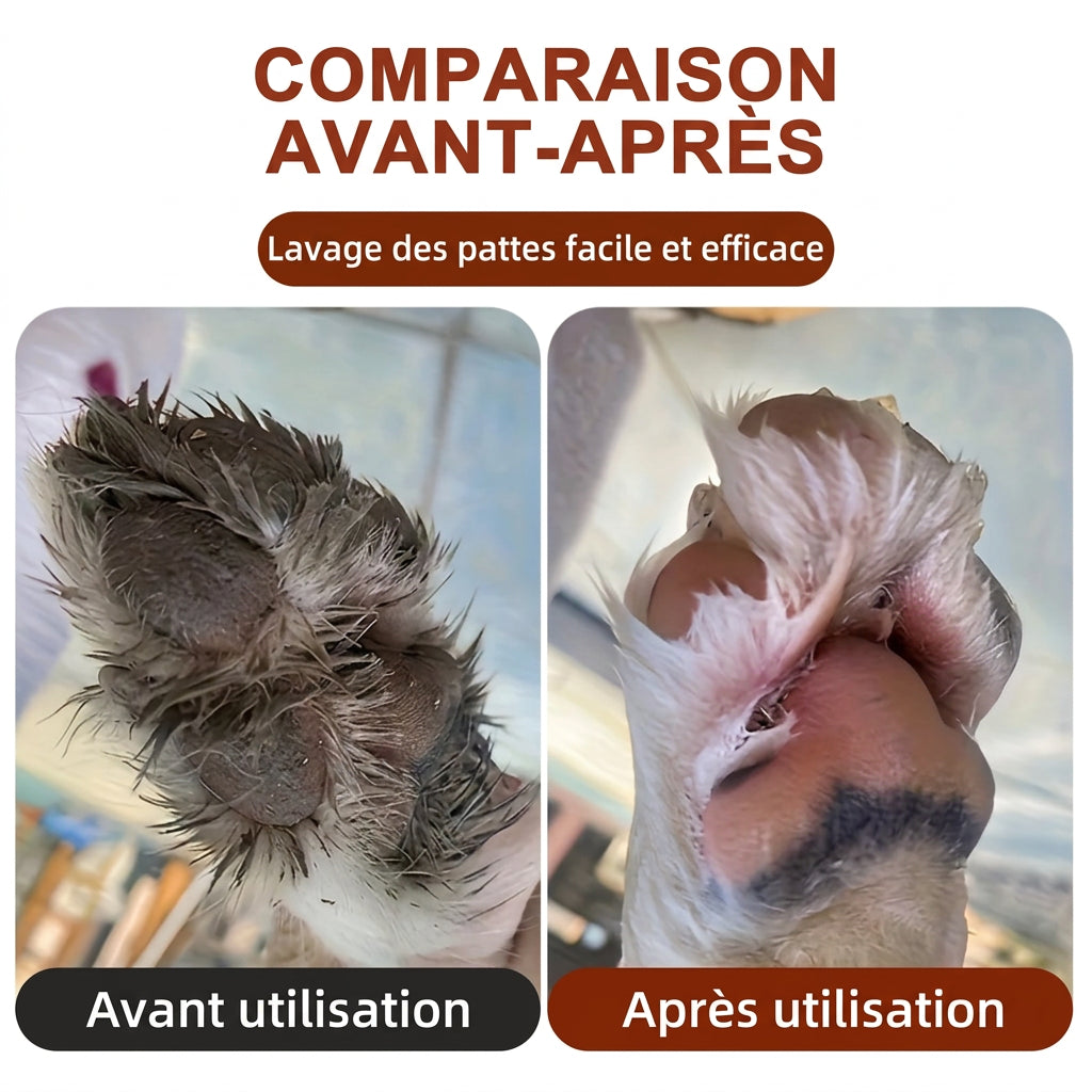 Patte avant et après lavage