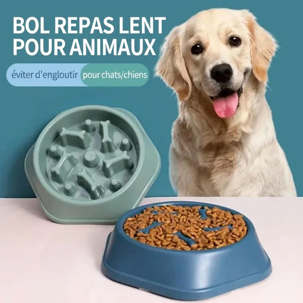 Gamelle anti-glouton Labyrinthe – caractéristiques