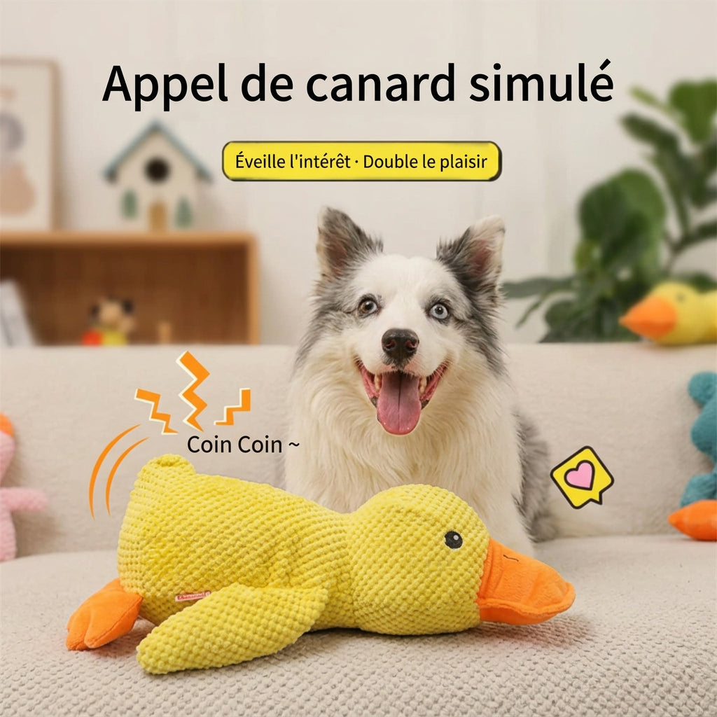 Canard à mâchouiller Coin-Coin – caractéristiques