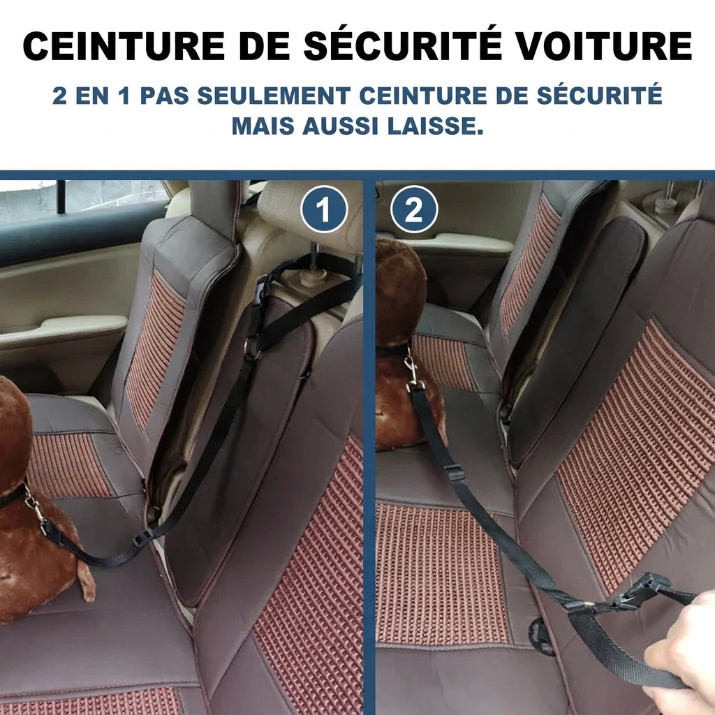 Ceinture de sécurité 2 en 1 qui sert aussi de laisse