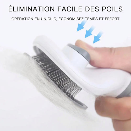 Brosse Clic – caractéristiques