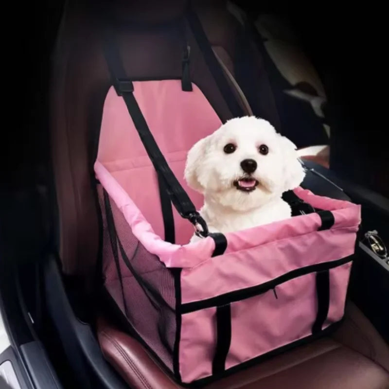Chien dans le siège auto