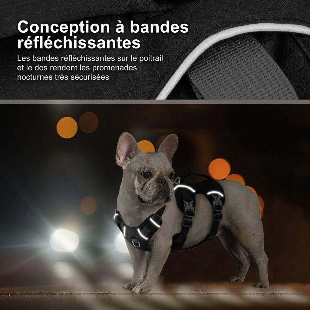 Harnais anti-fugue Évasion – bandes réfléchissantes