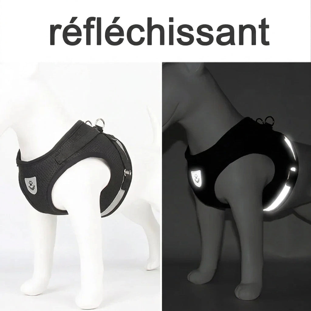 Harnais gilet Mini Cocon – réfléchissant