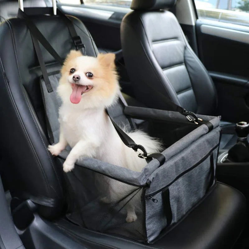 Siège auto pour petit chien