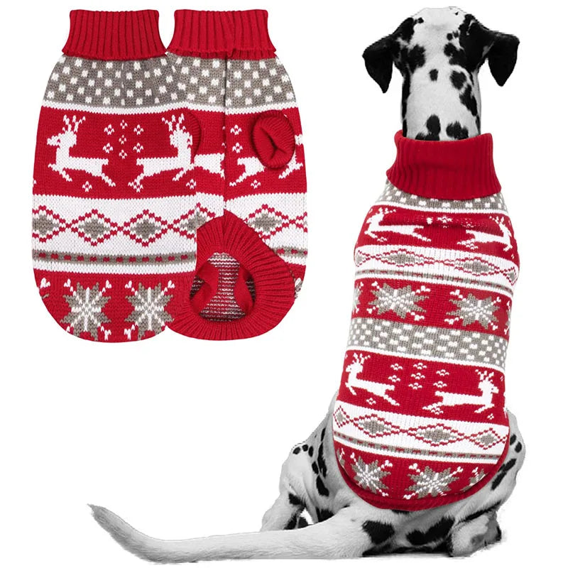 Chien en pull de Noël