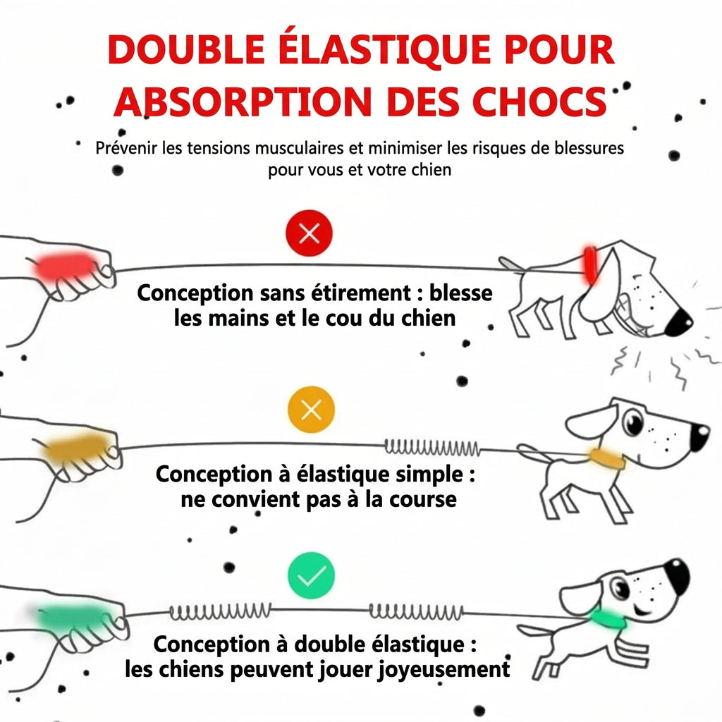 Laisse mains libres Foulée : double élastique pour absorption des chocs, comparaison des conceptions