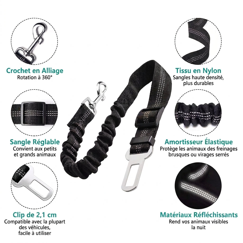Caractéristiques de la ceinture élastique : crochet rotatif, sangle réglable et bandes réfléchissantes