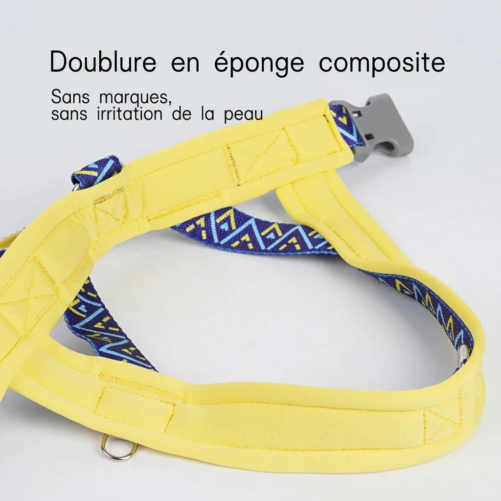 Harnais selle Géo – doublure en éponge composite