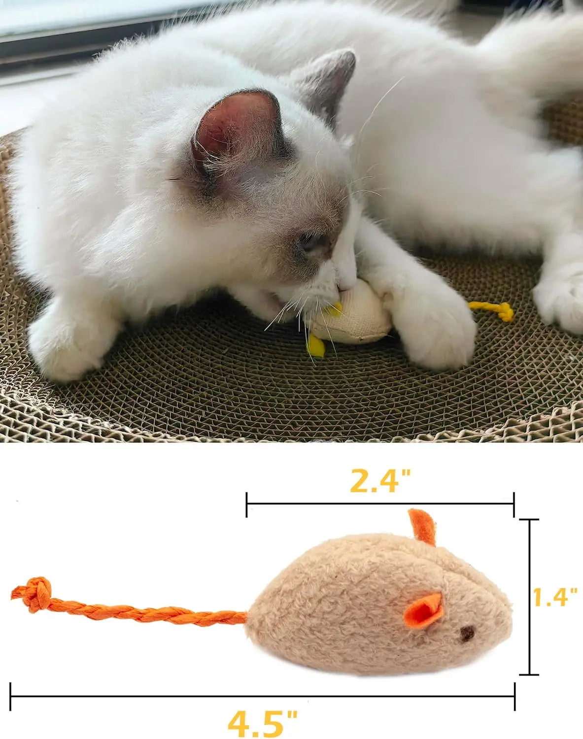 Souris Herbe à chat – vue 3