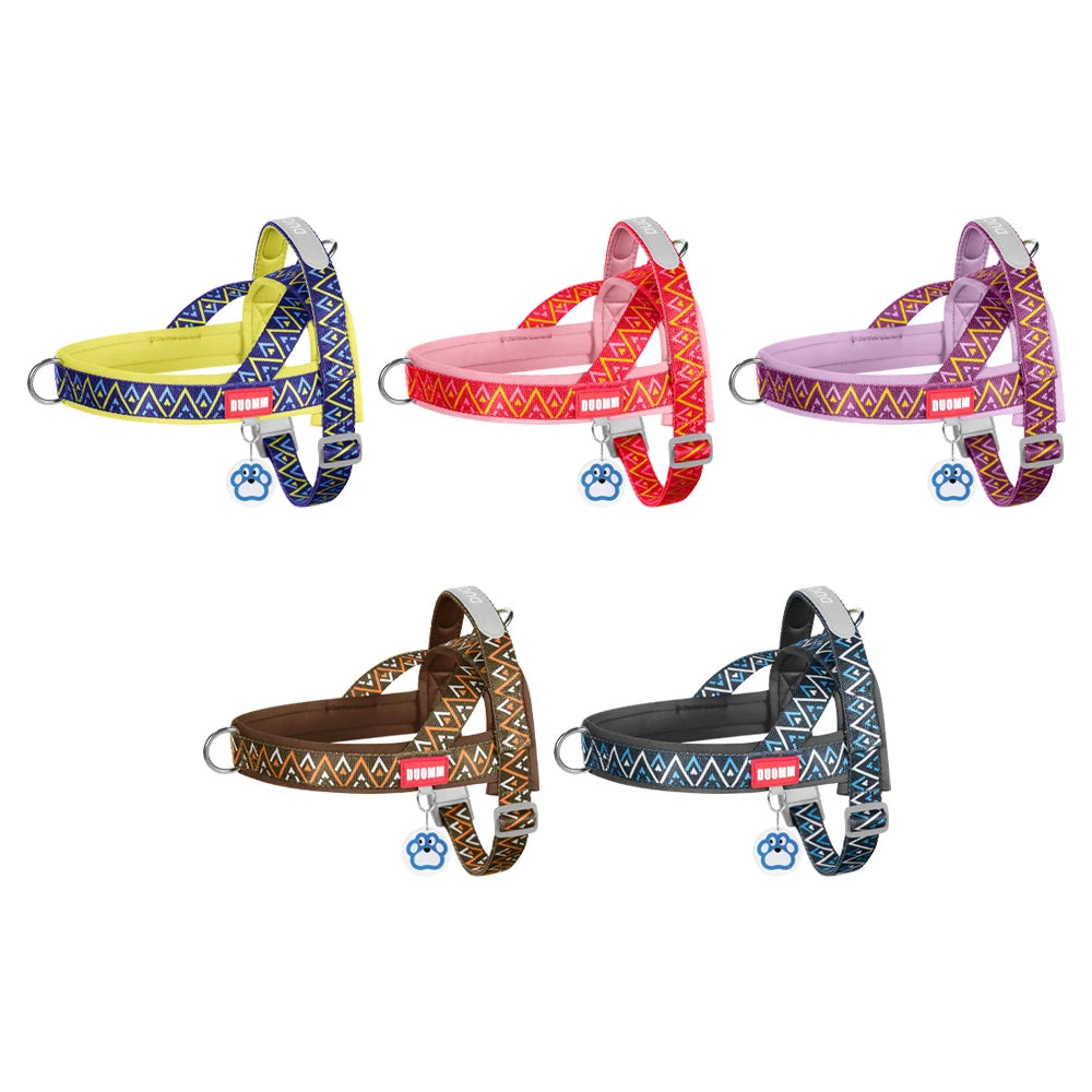 Harnais selle Géo – coloris disponibles