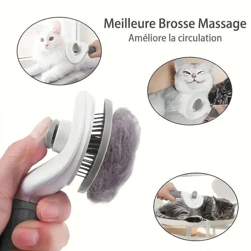 Brosse Flottante – caractéristiques