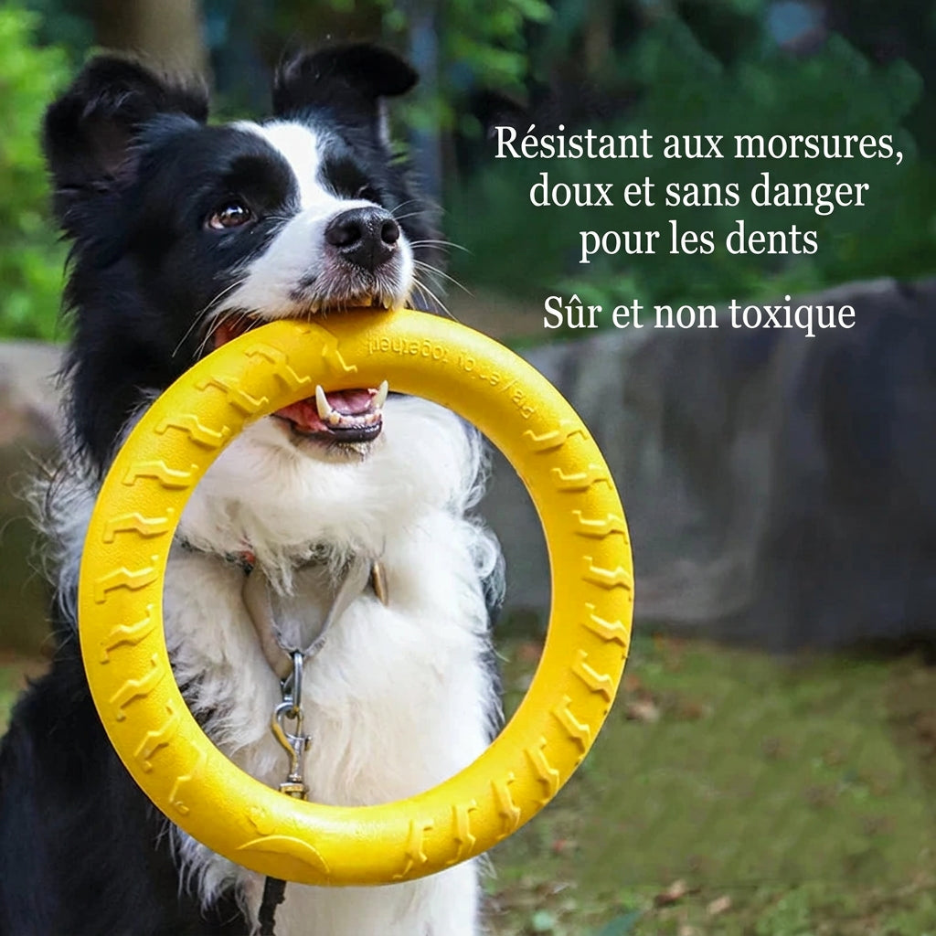 Chien tenant l'anneau EVA jaune, texte « Résistant aux morsures, doux et sans danger pour les dents, sûr et non toxique »