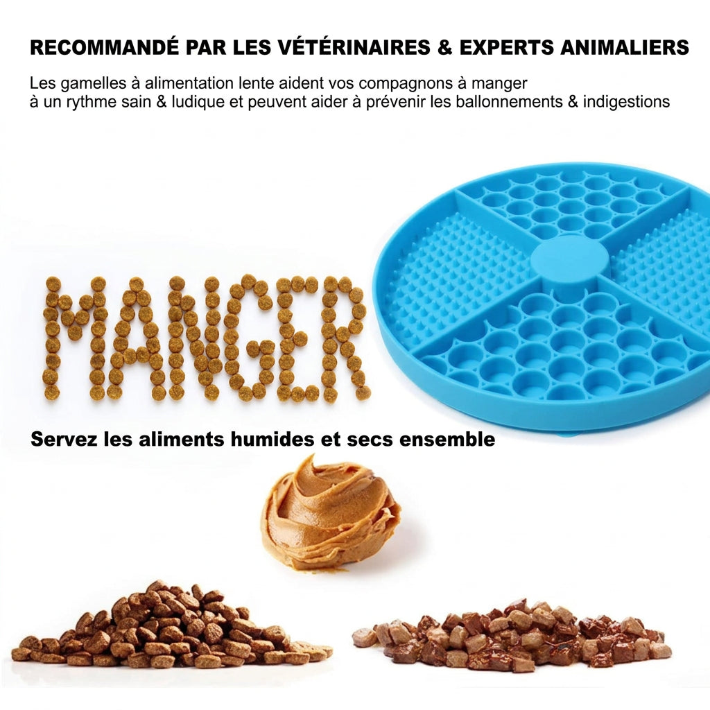 Tapis à lécher rond bleu garni de croquettes, beurre de cacahuète et pâtée : se sert avec aliments humides et secs