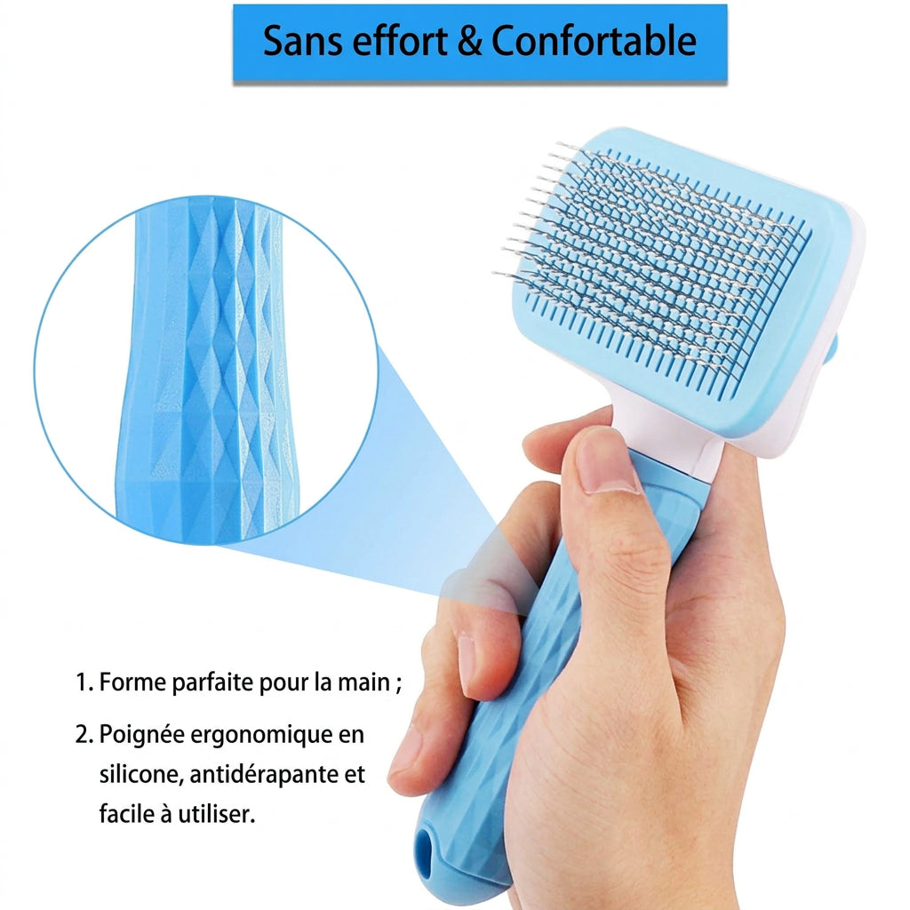 Brosse Anti-Poils – détails