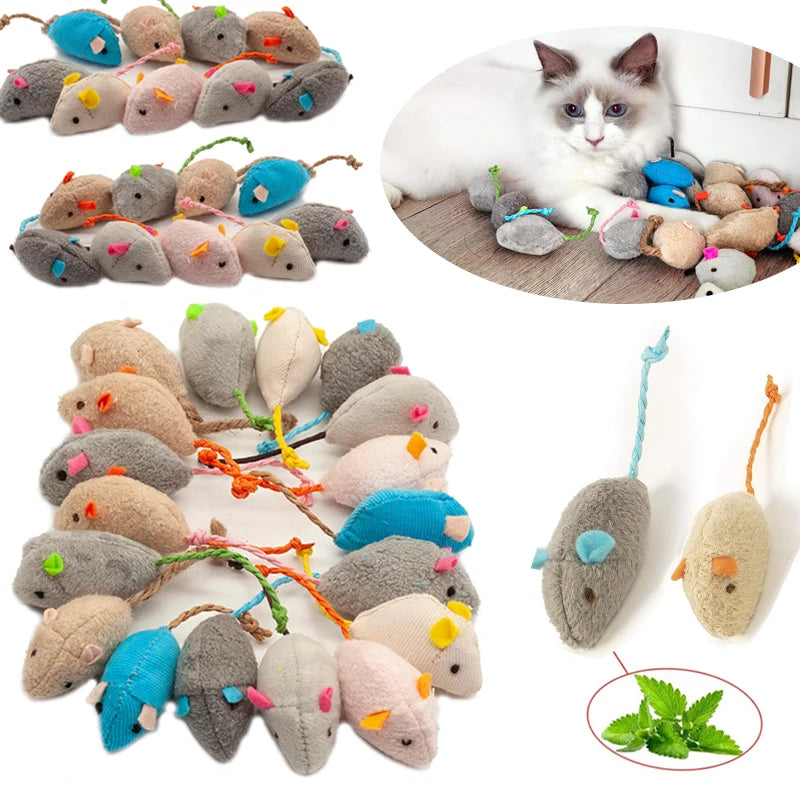 Souris Herbe à chat – vue 1