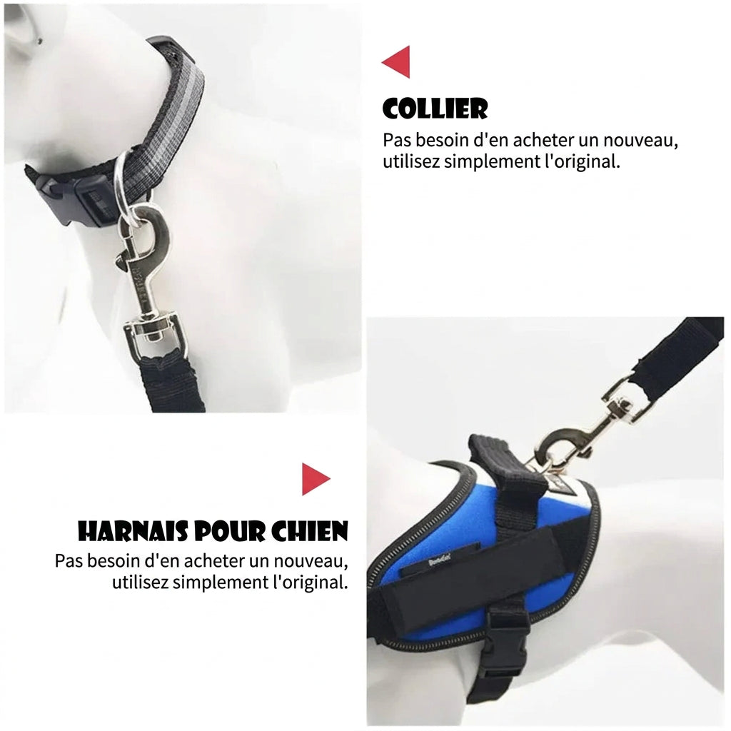 Compatible avec le collier ou le harnais d'origine