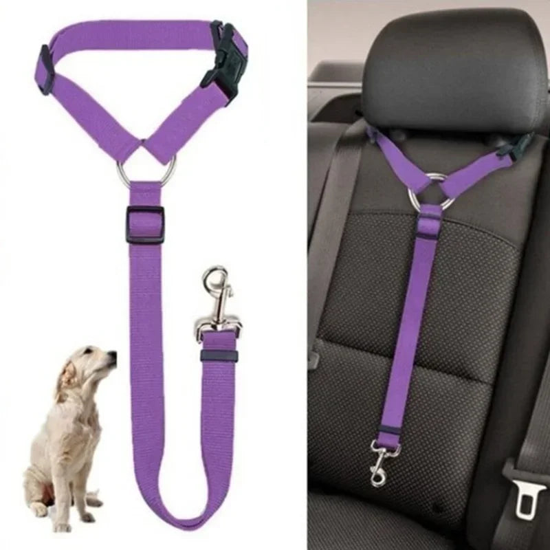 Attache de sécurité pour chien violette