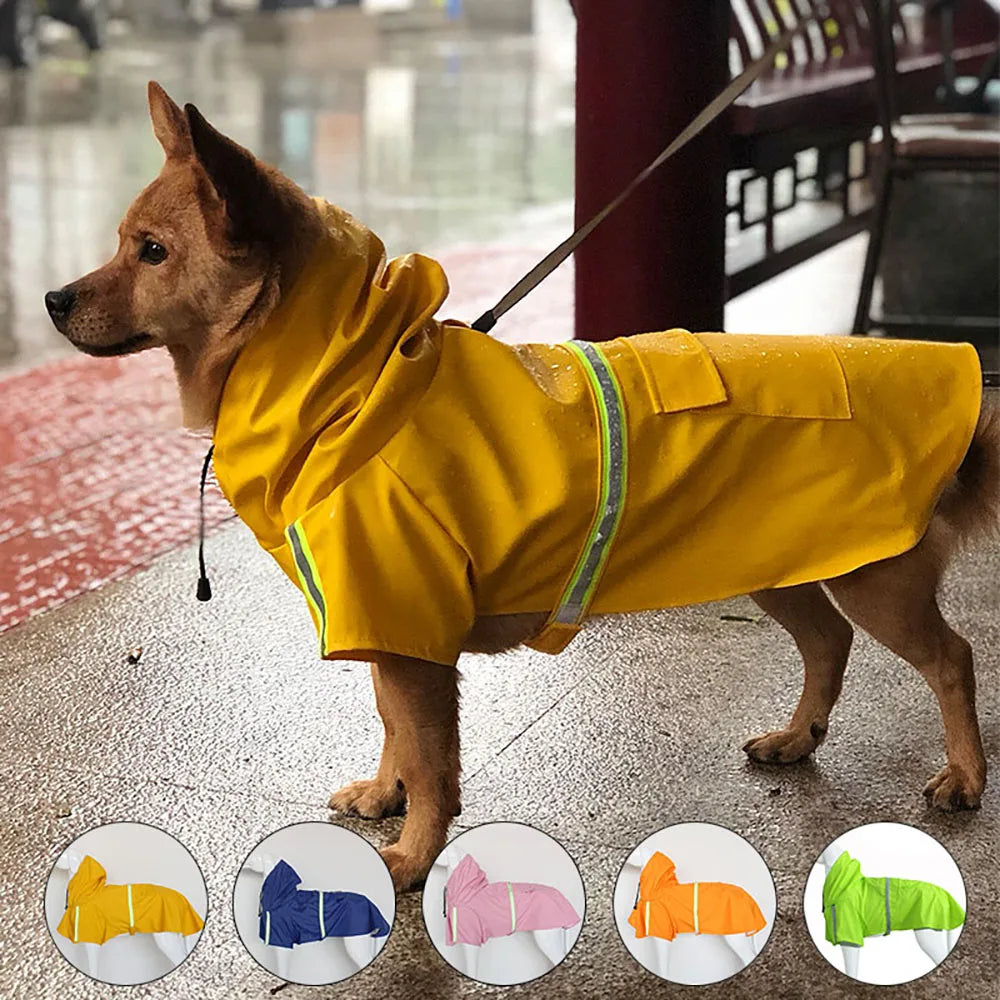 Chien en cape de pluie jaune