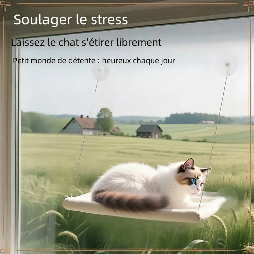 Chat qui s'étire librement dans le hamac de fenêtre