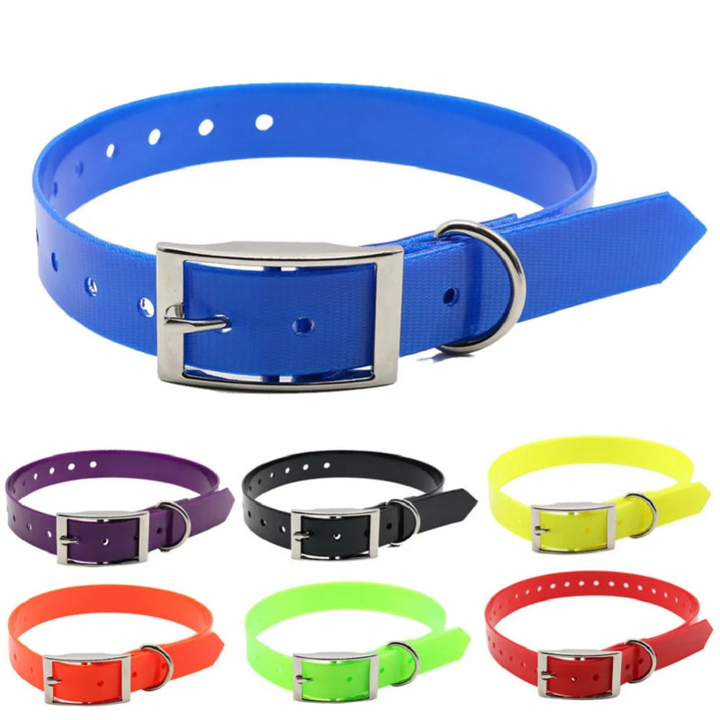 Collier imperméable Éclat pour chien