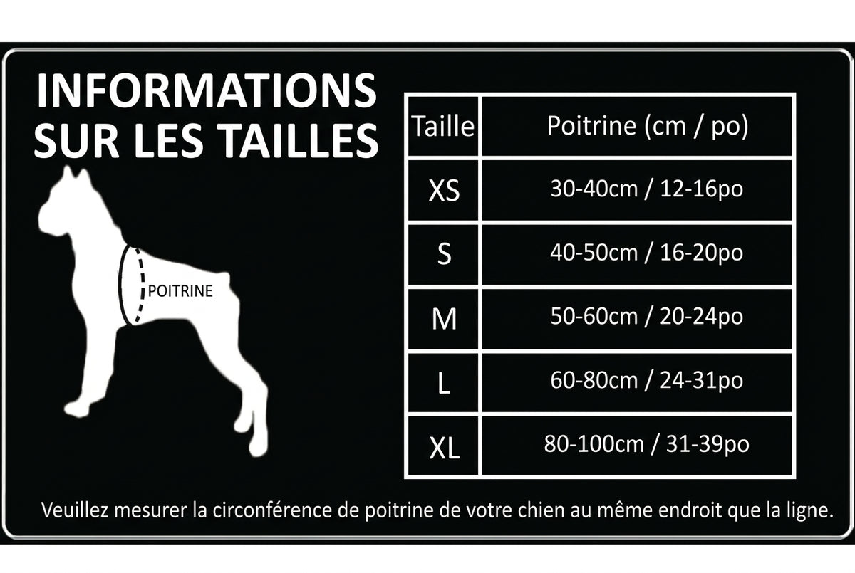 Guide des tailles – Harnais trail Sentier