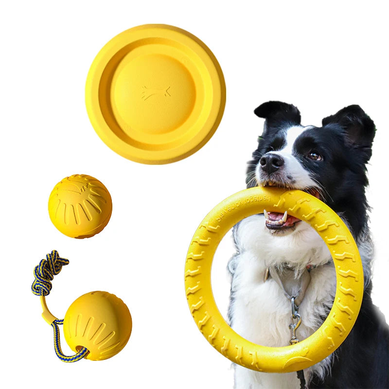 Kit de jeu EVA Rebond pour chien : anneau et balles