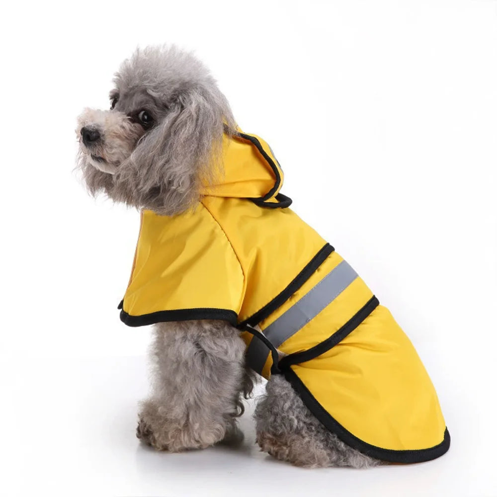 Imperméable pour chien vu de dos