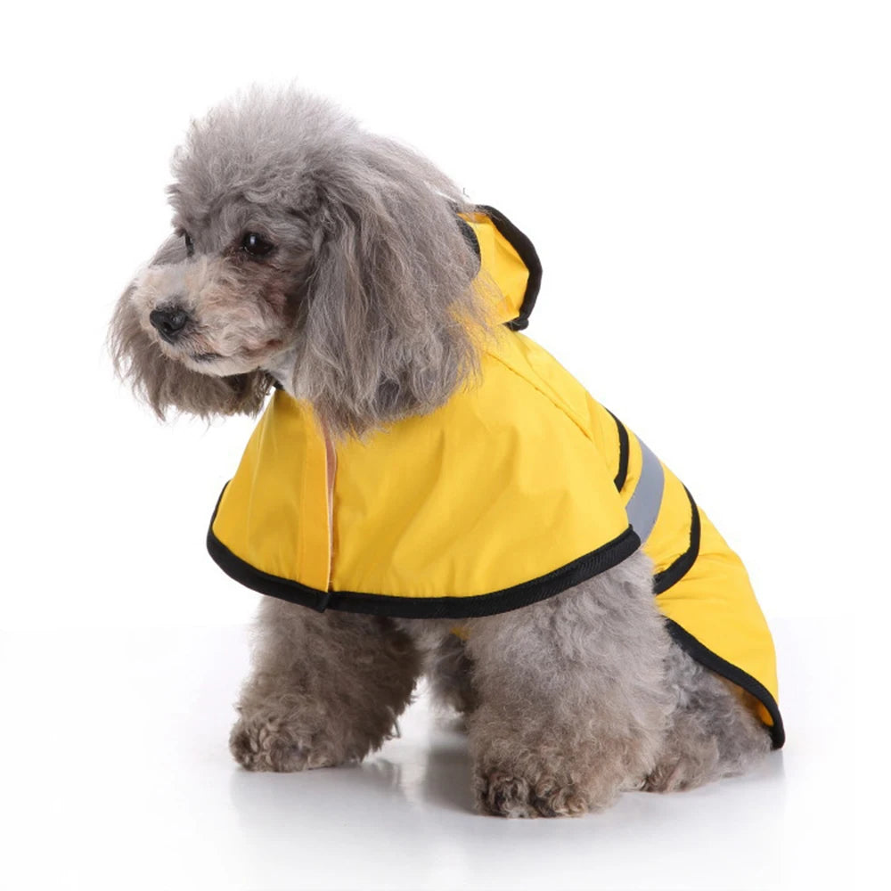 Chien en imperméable jaune à capuche