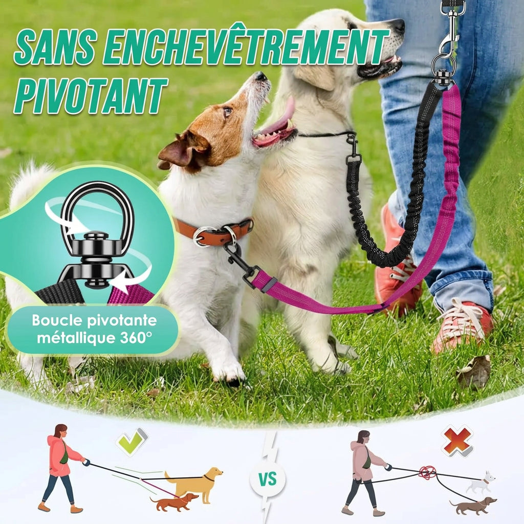 Coupleur Duo Balade – utilisation à deux chiens