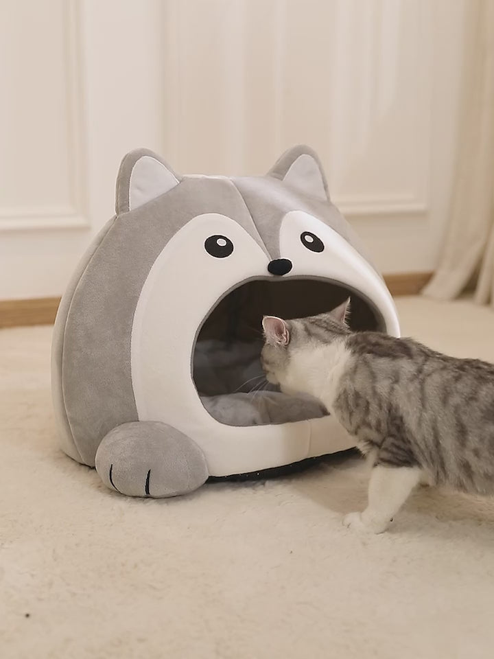 Vidéo de la grotte Husky avec un chat
