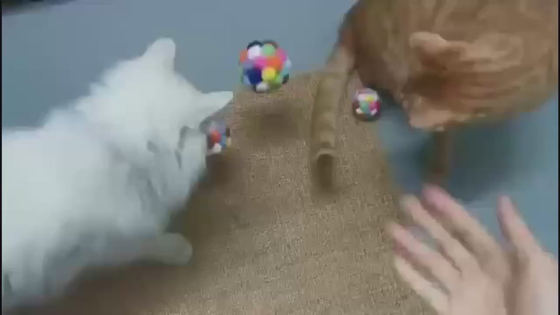 Vidéo des pompons à grelot